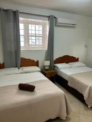 Rose Apartments ไครสต์เชิร์ช ภายนอก รูปภาพ